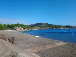 Foto di Paulilles beach con baia spaziosa