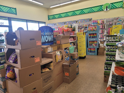 Dollar Store «Dollar Tree», reviews and photos, 1442 FL-436 #1052, Casselberry, FL 32707, USA