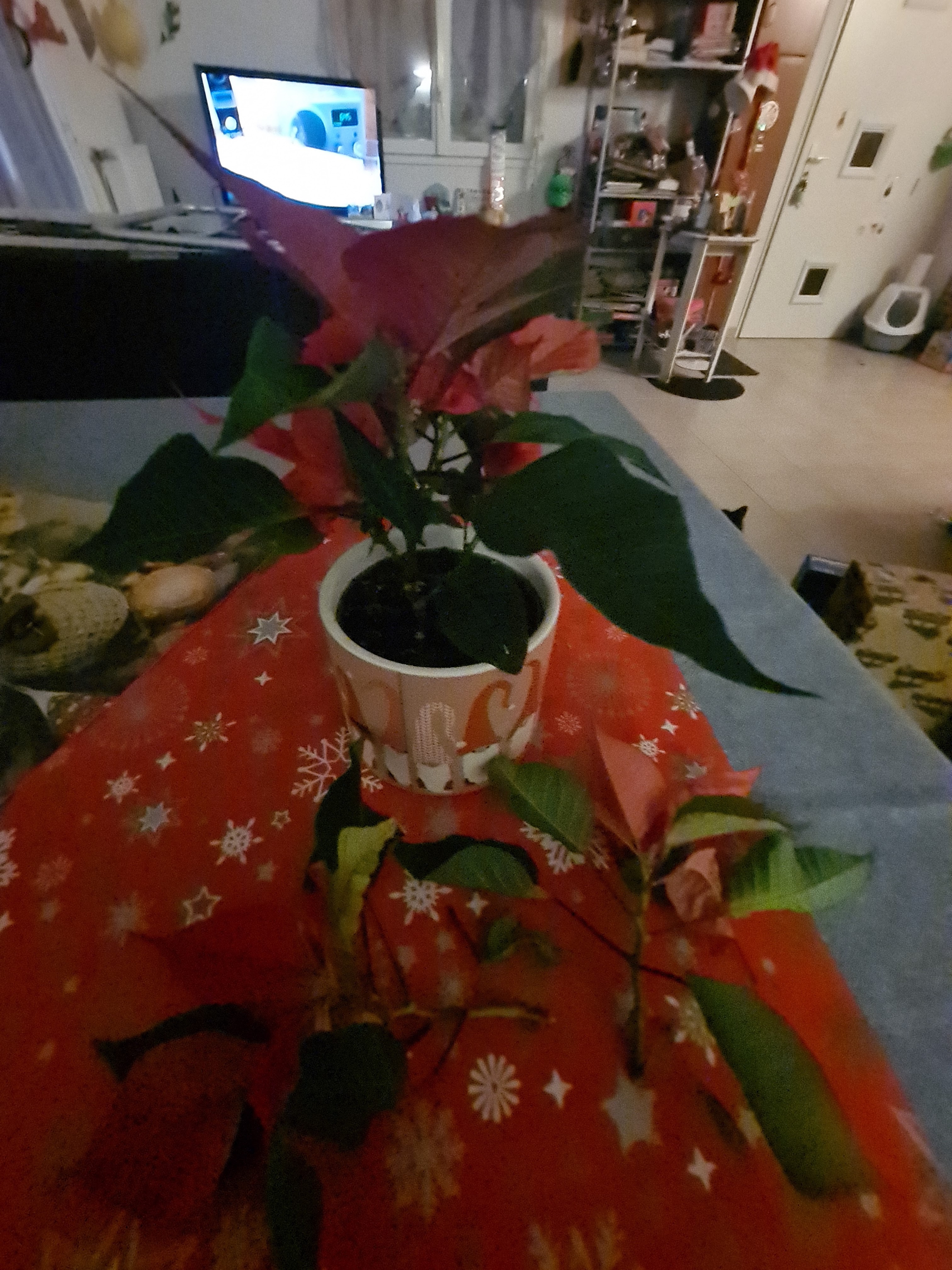 Photo n° 1 de l'avis de laury.a fait le 21/12/2021 à 21:15