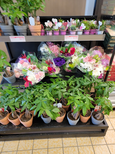 Supermarket «ALDI», reviews and photos, 1940 E Dorothy Ln, Kettering, OH 45420, USA