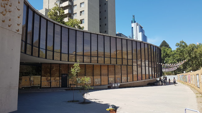 Opiniones de Museo Violeta Parra en Puente Alto - Museo