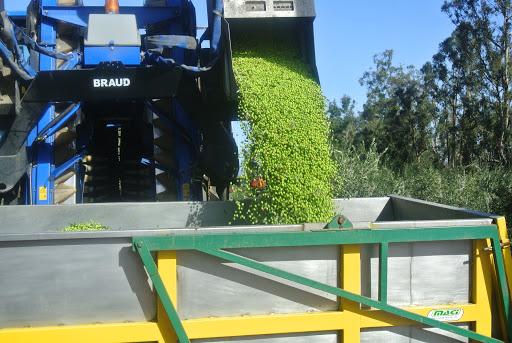 Natural Foods Store «The Olive Oil Taproom», reviews and photos, 200 Towne Center W Blvd, Henrico, VA 23233, USA