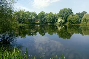 Iremongers Pond image