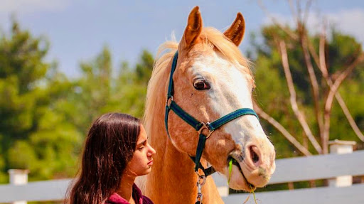 Places to ride horses Jerusalem