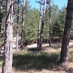 Photo n° 13 de l'avis de danadu59. fait le 20/06/2017 à 13:38 pour Espaces Equestres Henson à Saint-Quentin-en-Tourmont