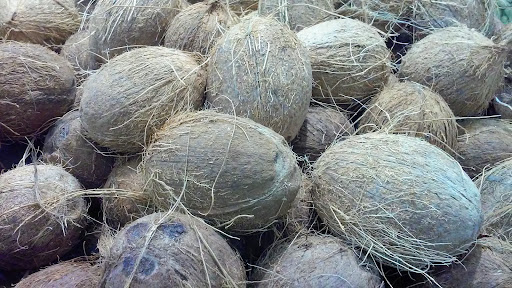 Asian Grocery Store «Asian Food Markets», reviews and photos, 1797 South Ave, Staten Island, NY 10314, USA