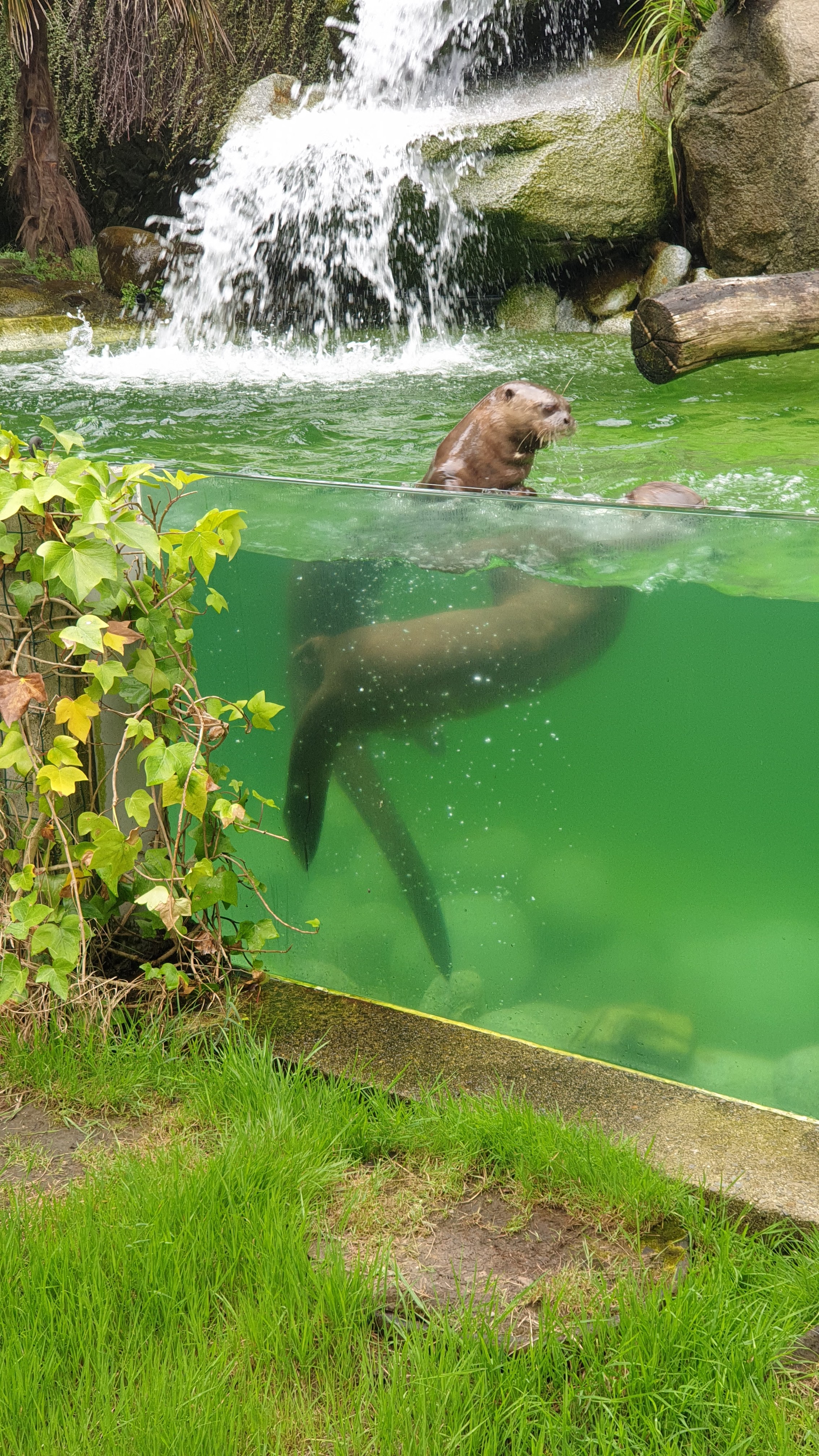 Photo n° 7 de l'avis de frédéric.e fait le 21/07/2022 à 14:28