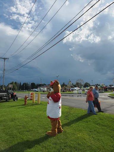 Auto Insurance Agency «State Farm: Laura Whitney», reviews and photos