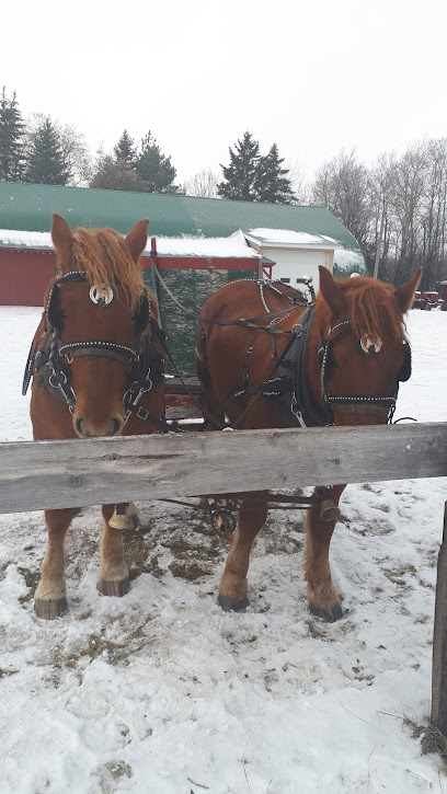 Timber Trails Tree Farm