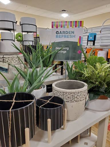 Department Store «HomeGoods», reviews and photos, 17641 Dale Mabry Hwy, Lutz, FL 33548, USA