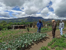 Huertos Agroecologico Miraflores Alto