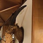 Photo n°2 de l'avis de Fabio.r fait le 05/10/2022 à 11:08 sur le  Ristorante Pizzeria Lo Stambecco à Gressoney-Saint-Jean