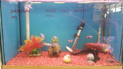 Pet Store «Fontana Tropical Fish & Pets», reviews and photos, 9830 Sierra Ave, Fontana, CA 92335, USA