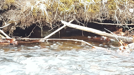 Nature Preserve «Wolf Rock Nature Preserve», reviews and photos, 251 Clover Mill Rd, Storrs, CT 06268, USA