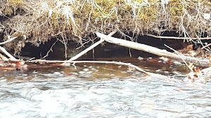 Schoolhouse Brook Park - photo 51