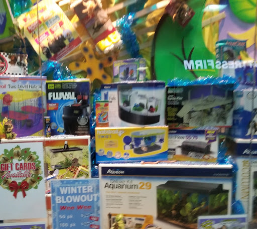 Pet Supply Store «Petland Discounts - Middle Village», reviews and photos, 6626 Metropolitan Ave, Middle Village, NY 11379, USA