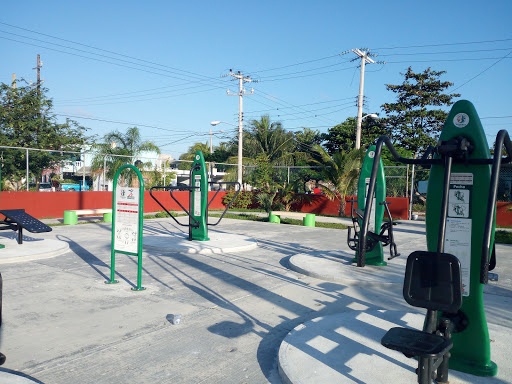 Outdoor Gym