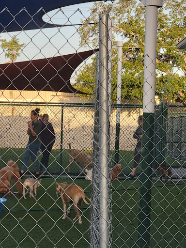 Veterinarian «PetCoral Resort and Veterinary», reviews and photos, 924 Del Prado Blvd, Cape Coral, FL 33990, USA