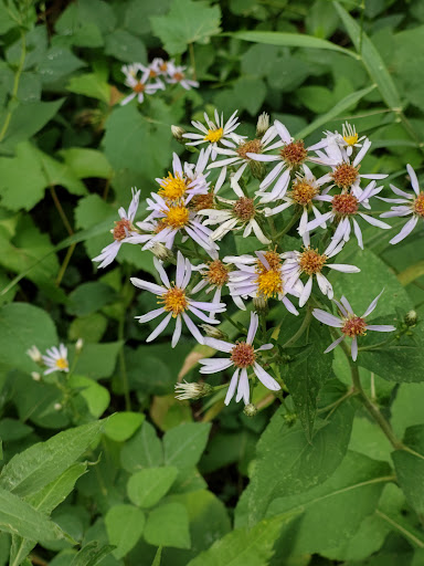 Park «Theodore Wirth Regional Park», reviews and photos, 1339 Theodore Wirth Pkwy, Golden Valley, MN 55422, USA