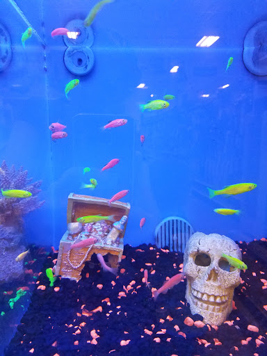 Pet Supply Store «PetSmart», reviews and photos, 401 S Mt Juliet Rd #645, Mt Juliet, TN 37122, USA