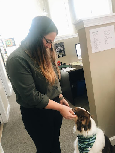 Auto Insurance Agency «Roger OConnell State Farm Insurance Agency», reviews and photos