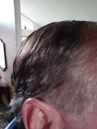 Hair Salon «Fantastic Sams Cut & Color», reviews and photos, 3665 E Bay Dr #176, Largo, FL 33771, USA