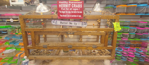 General Store «General Store», reviews and photos, 210 S Ocean Blvd, Myrtle Beach, SC 29577, USA