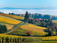 Peak Tours and Transit - Photo 3 - Car repair in Portland, OR, Hillsboro