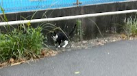南予文化会館