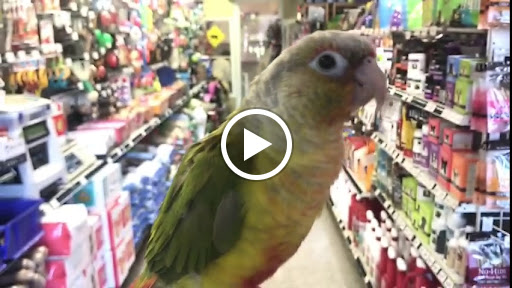 Pet Store «Wilmette Pet Center LLC», reviews and photos, 625 Green Bay Rd, Wilmette, IL 60091, USA