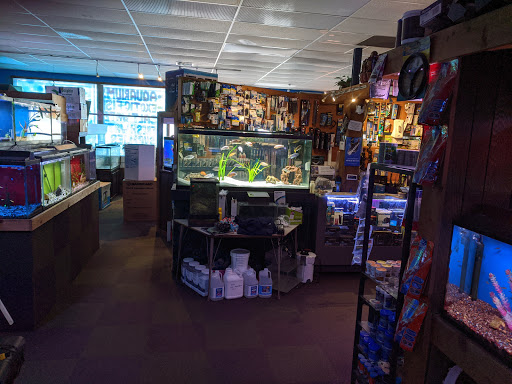 Tropical Fish Store «Sea Level», reviews and photos, 8590 Excelsior Blvd, Hopkins, MN 55343, USA