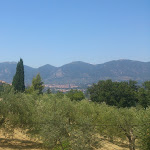 Photo n°29 de l'avis de Clodio.o fait le 02/07/2018 à 06:54 sur le  Le storie di Bambù à Terni