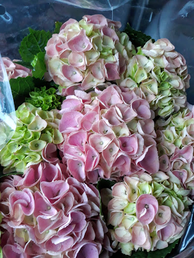 Supermarket «Walmart», reviews and photos, 17550 S Halsted St, Homewood, IL 60430, USA