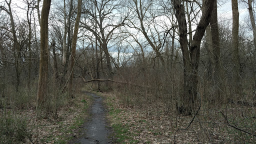 State Park «Brezina Woods», reviews and photos, N La Grange Rd, La Grange Park, IL 60526, USA
