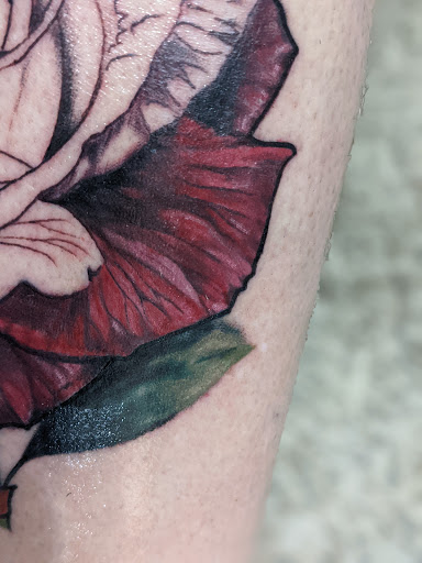 Explore coral reef tattoo ideas, creative tattoo ideas in Talbott, available at Alpha Tattoo co.