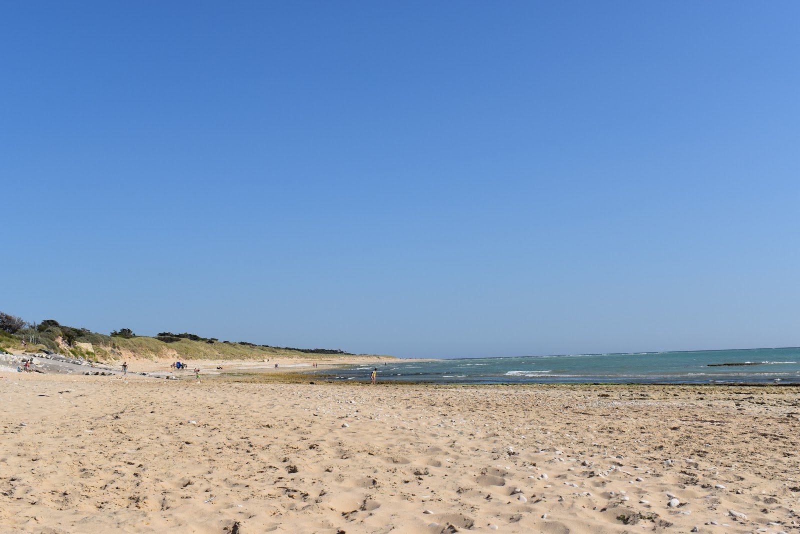 Campiotel beach的照片 带有碧绿色纯水表面
