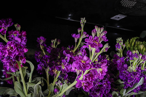 Florist «Donnelly Floral and Event Design», reviews and photos, 111 Sacramento St, Rio Vista, CA 94571, USA