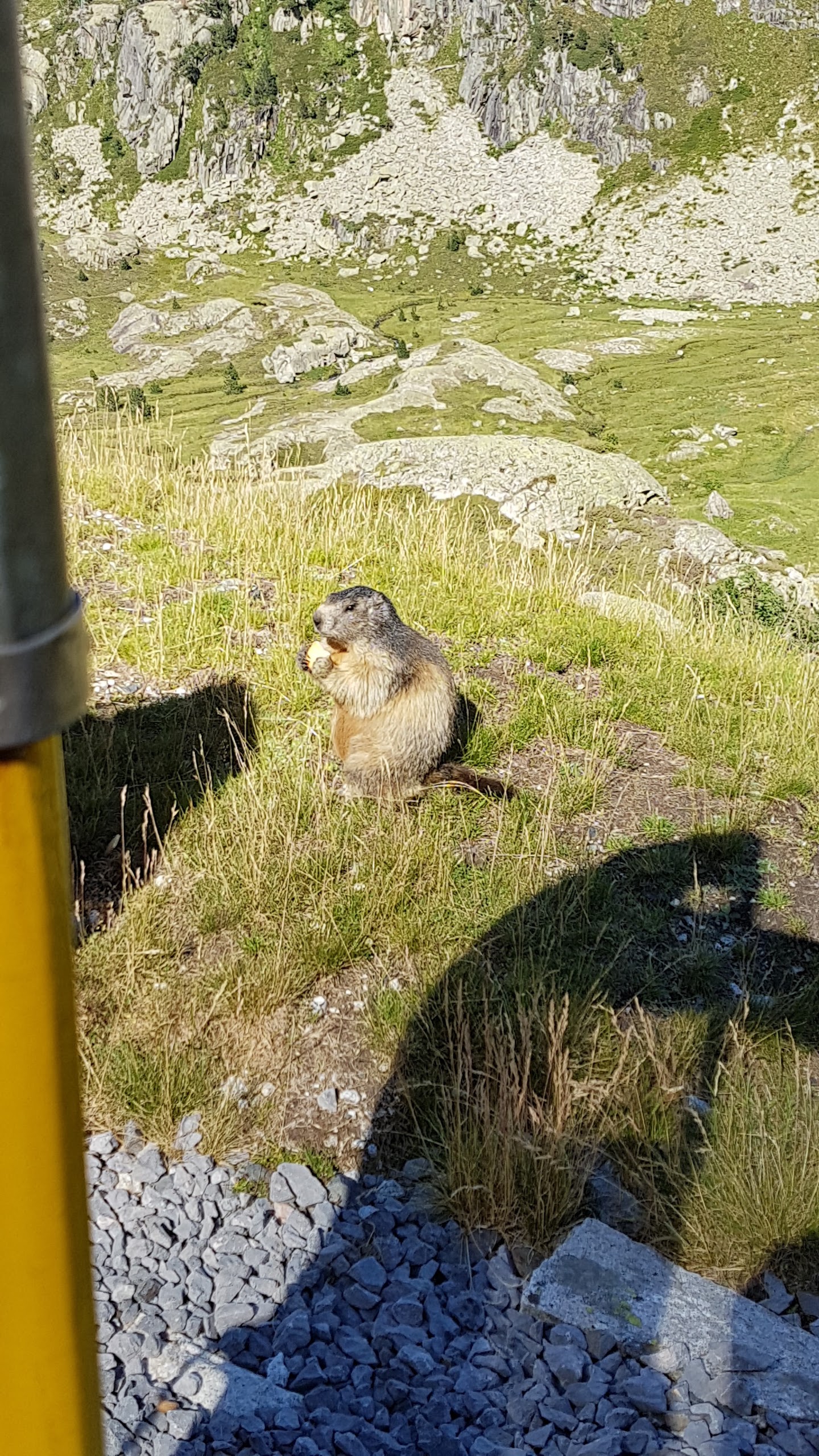 Photo n° 2 de l'avis de maximilien.a fait le 28/07/2017 à 10:59