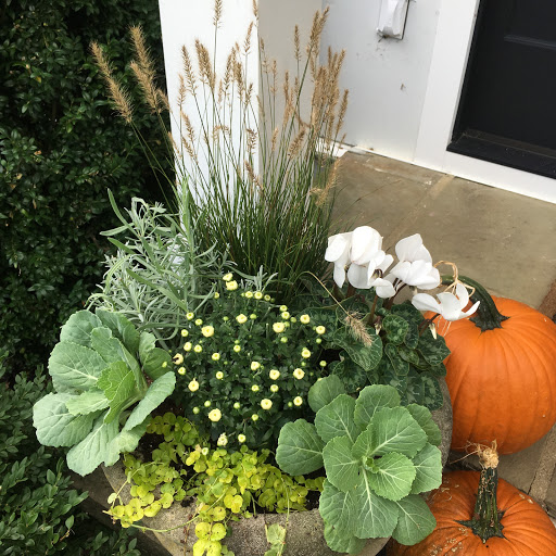 Florist «Guaranteed Plants & Florist», reviews and photos, 504 Locust Point Rd, Rumson, NJ 07760, USA