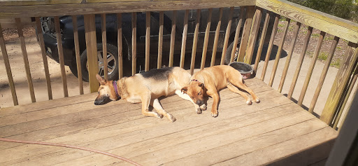 Bell Farm Veterinary Services LLC image