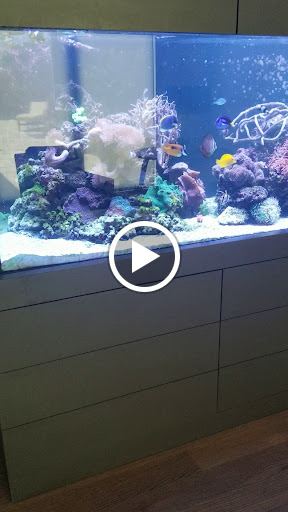 Aquarium «Marine EXTREMES», reviews and photos, 6257 E 21st St N, Wichita, KS 67208, USA
