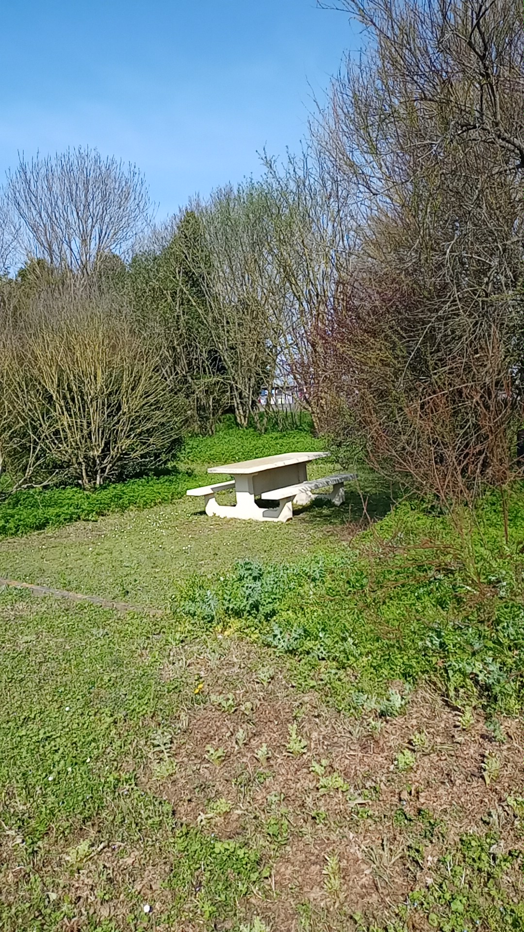 Photo n° 2 de l'avis de Piotr.o fait le 21/03/2024 à 10:36