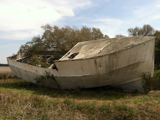 National Forest «Francis Marion National Forest», reviews and photos, 2967 Steed Creek Rd, Huger, SC 29450, USA