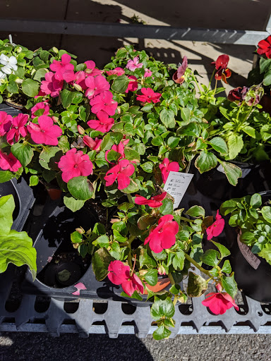 Supermarket «Price Chopper», reviews and photos, 1228 Oneill Hwy, Dunmore, PA 18512, USA