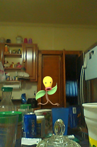 Discount Store «Dollar General», reviews and photos, 3958 PA-257, Seneca, PA 16346, USA