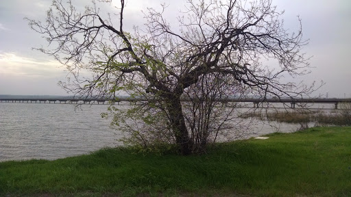 Park «Mountain Creek Lake Park Pavilion», reviews and photos, 2402 Cardiff St, Grand Prairie, TX 75051, USA