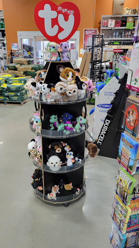 Paint Store «Ace - Wayland Home and Design», reviews and photos, 70 Andrew Ave, Wayland, MA 01778, USA