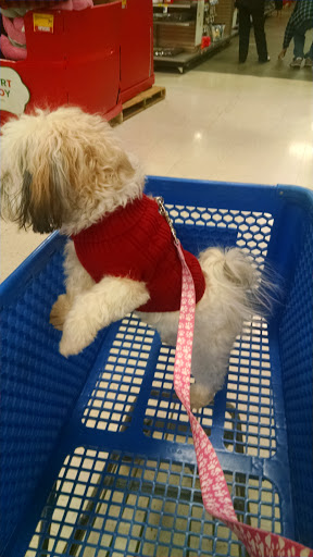 Pet Supply Store «PetSmart», reviews and photos, 2929 James Sanders Blvd f, Paducah, KY 42001, USA