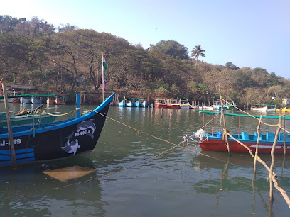Goa Water Sports Activities and Boat Tours