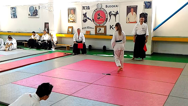 Opinii despre Școala de Aikido Constanța în <nil> - Sala de Fitness